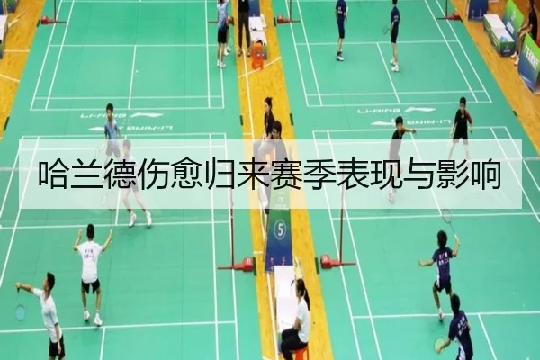 哈兰德伤愈归来赛季表现与影响